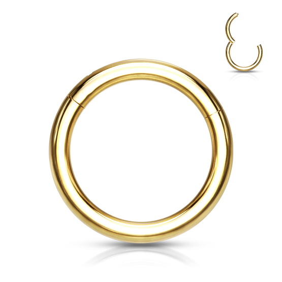 Gold Hinged Segment Ring made with Titanium
